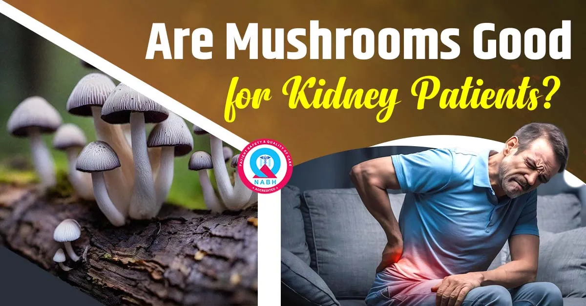 are-mushrooms-good-for-kidney-patients